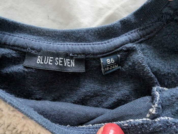 Pull ours - photo numéro 3