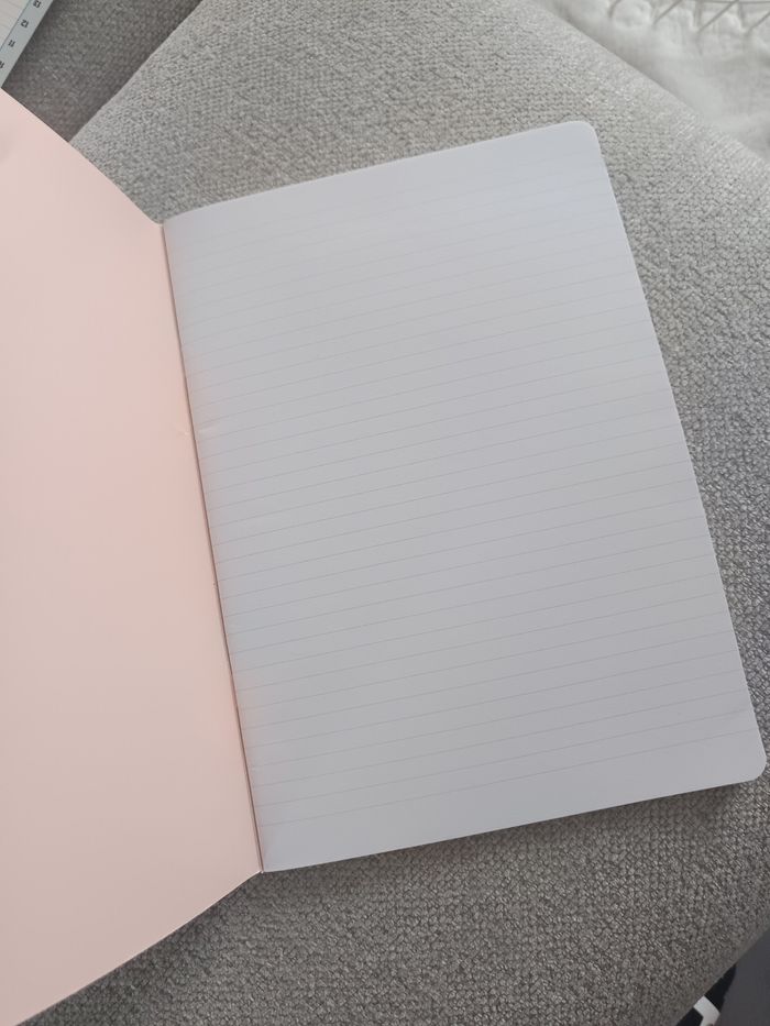 Cahier tu déchires tout ! - photo numéro 3