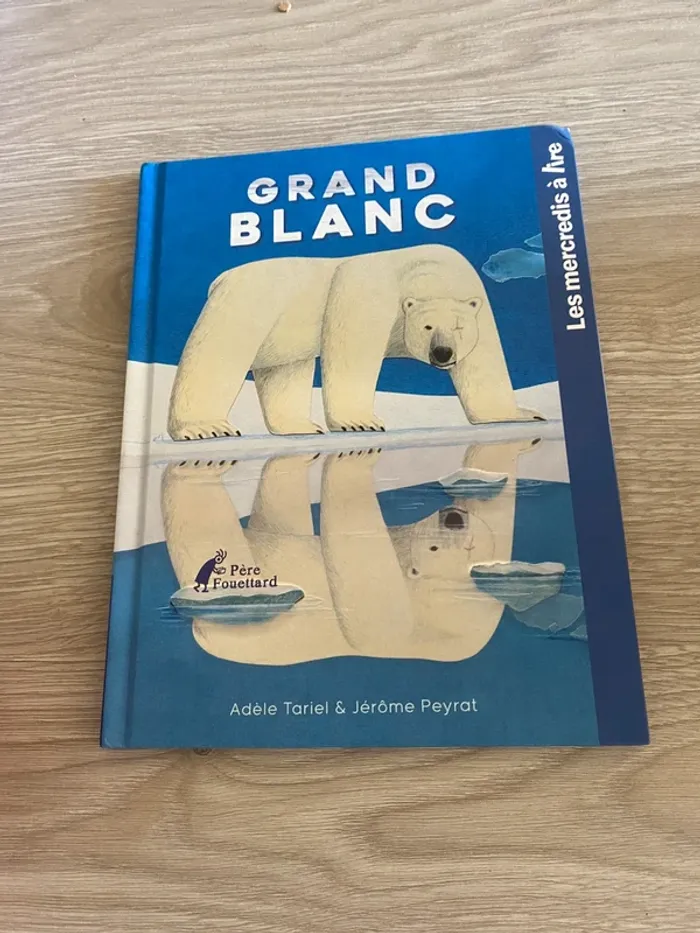 Livre grand blanc