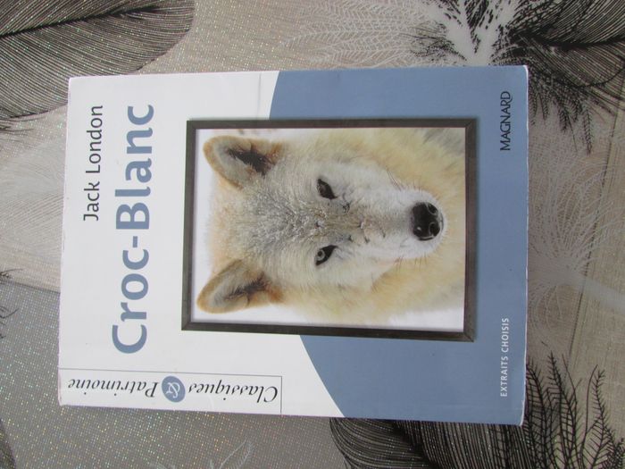 Livre Croc-Blanc de Jack London spécial Collège