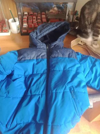 Veste bleu