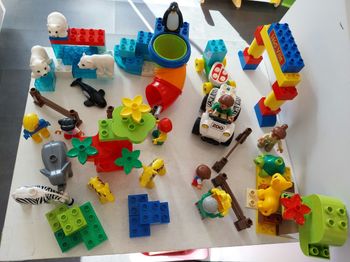 Duplo zoo