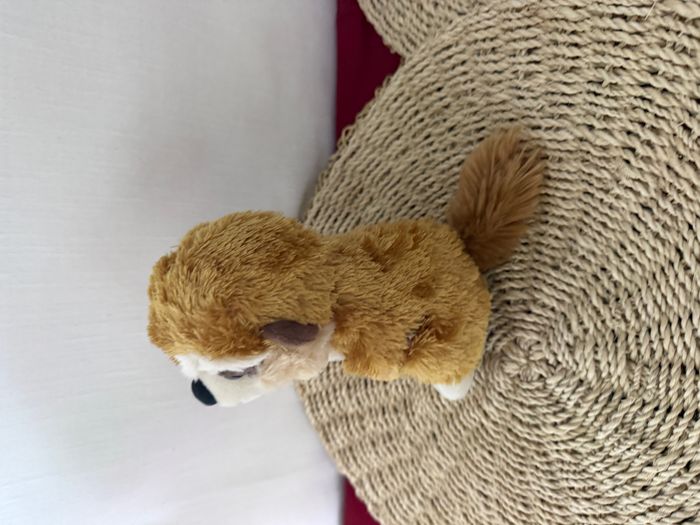 Peluche « Suricate » Hug'Ems de Wild Republic - photo numéro 3