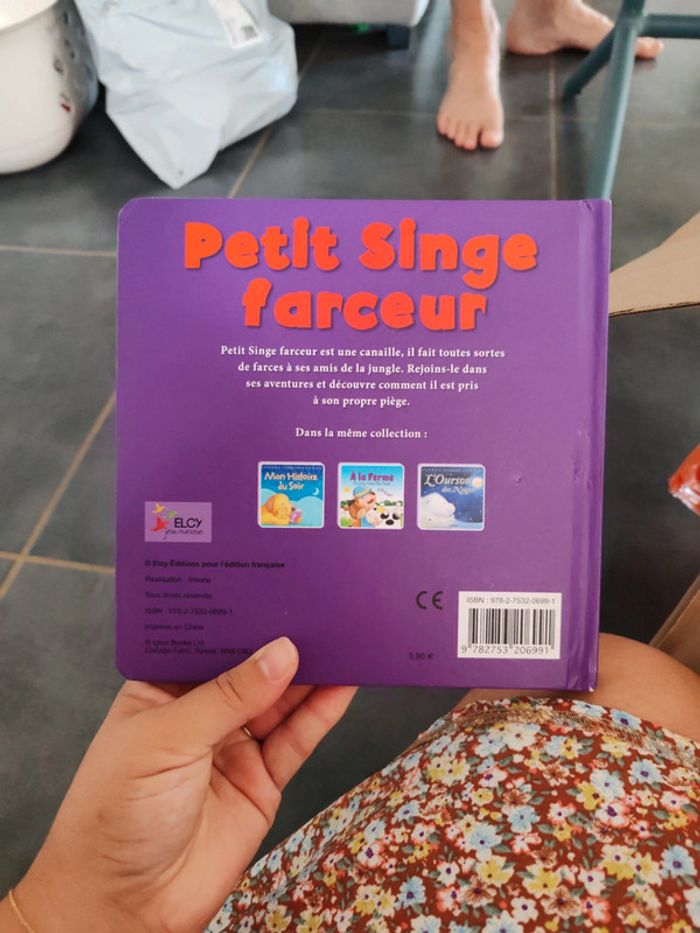 Petit singe farceur - photo numéro 2