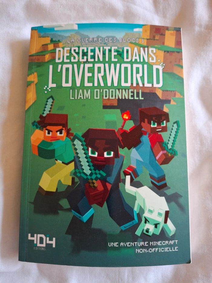 Descente dans l'Overworld.