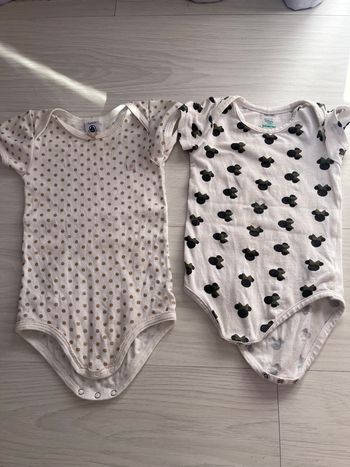 Lot 2 bodies manche courte 18mois