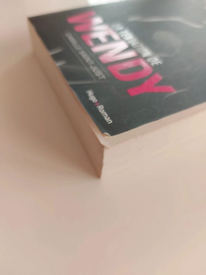 La tentation de Wendy - photo numéro 4