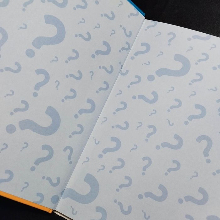 Livre enfant Fleurus mes questions de grand les émotions - photo numéro 3