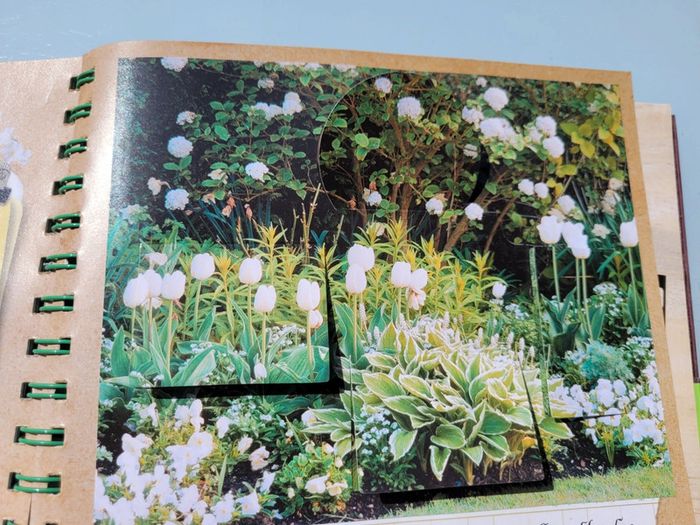 Le Carnet Jardinier, animé, Astuces et Petits secrets à cultiver 🪷 (35) - photo numéro 16