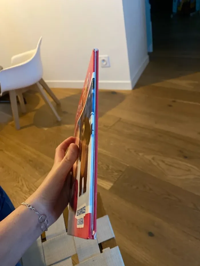 Livre - photo numéro 9