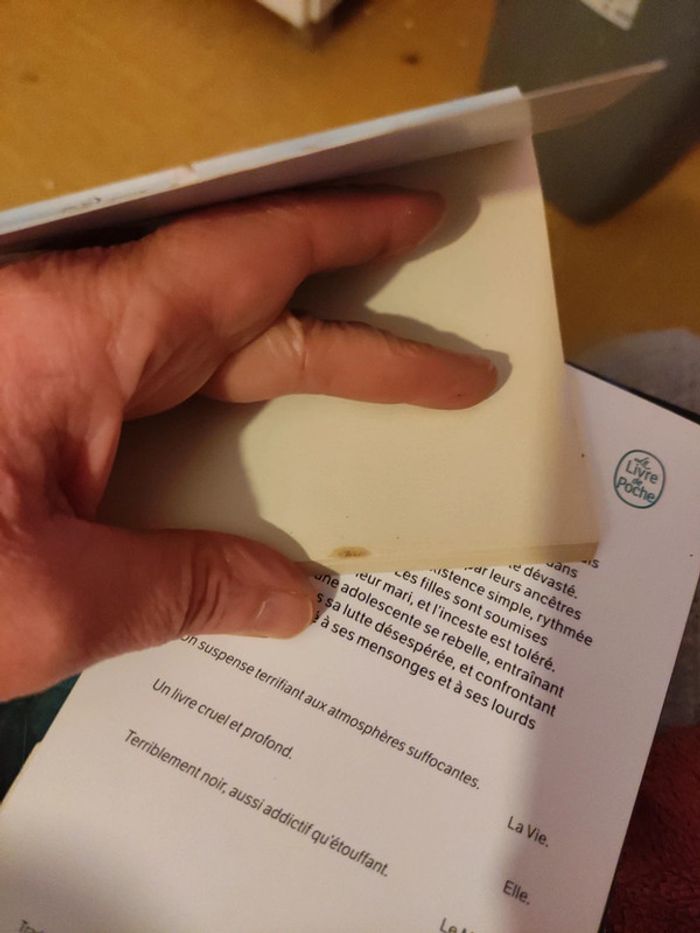 La maison qui s'envole - photo numéro 3
