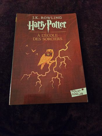 Harry Potter à l'école des sorciers