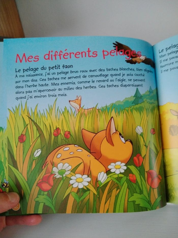 Altaya Les animaux de la forêt n°1 Le cerf - photo numéro 13