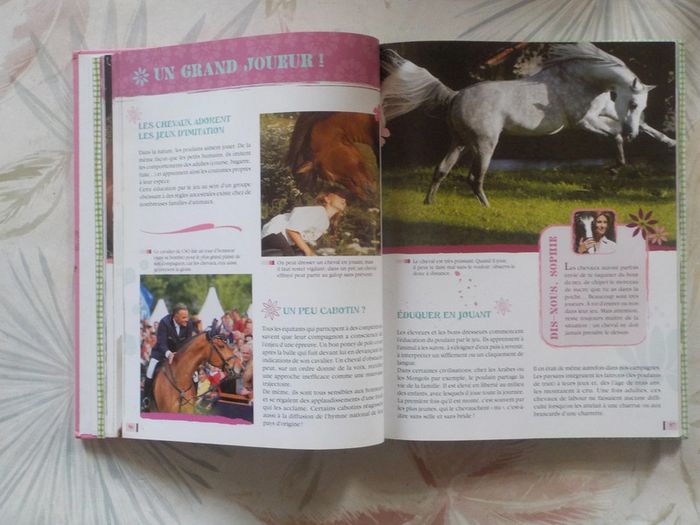 Au galop ! avec Sophie Thalmann Tout savoir sur le cheval - photo numéro 9