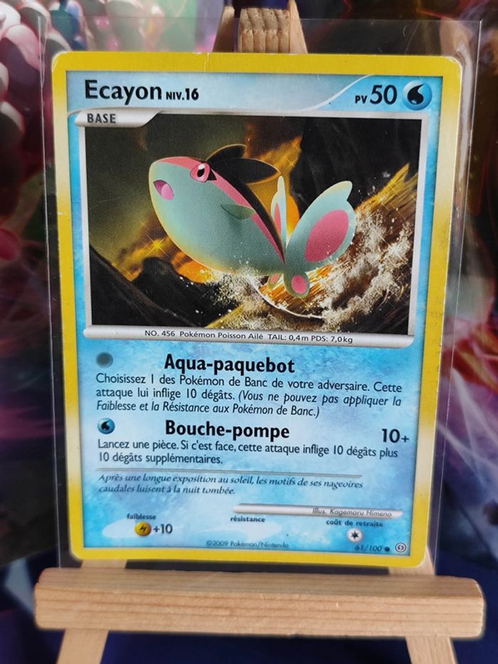 Ecayon niv 16 61/100 tempête