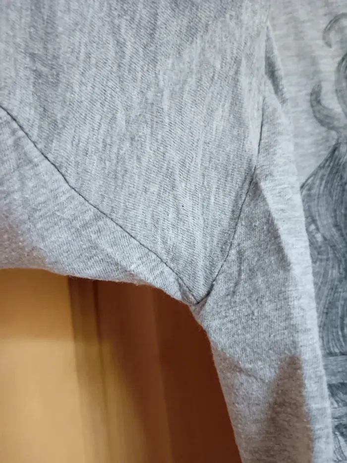 Tee-shirt gris Rook - photo numéro 3