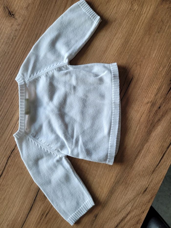 Brassière/ gilet - photo numéro 2