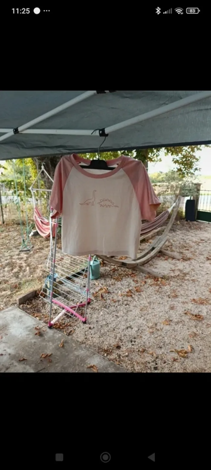 Tee-shirt court rose dinosaure shein - photo numéro 2