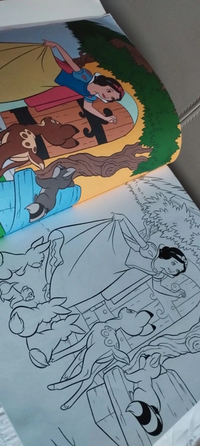 Mon club princesse, livret d'activité - photo numéro 5