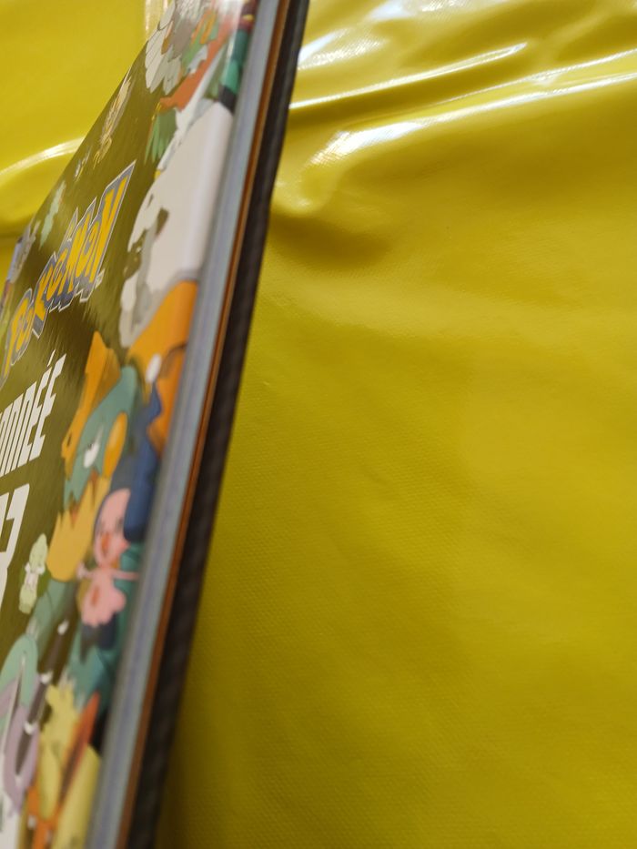 livre pokemon - photo numéro 3