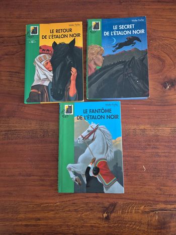 Lot de 3 livres l'étalon noir bibliothèque verte