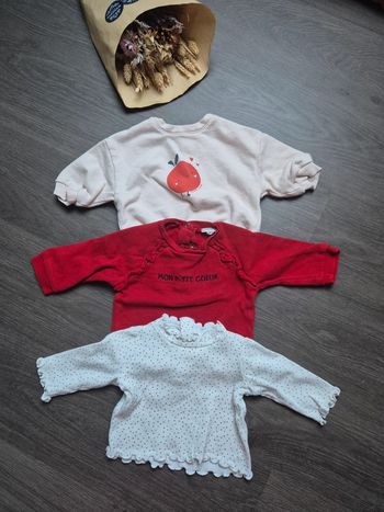 Magnifique lot de 2 sweats et 1 t-shirt 3 mois