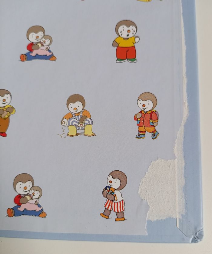 Lot livres T'choupi - photo numéro 4