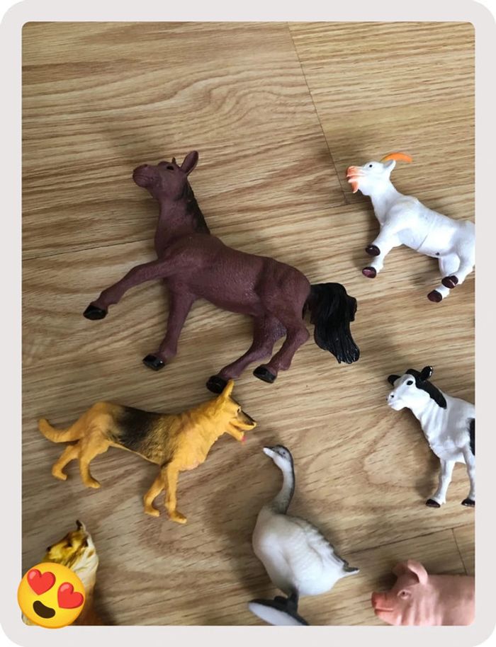 Animaux de la ferme - photo numéro 5