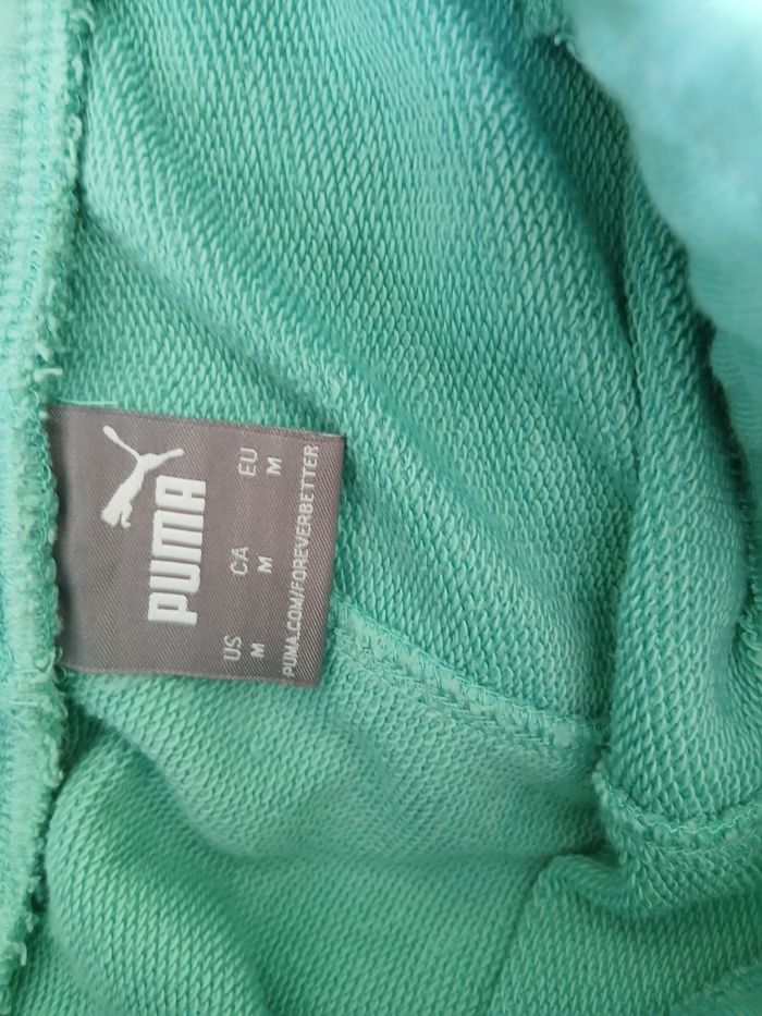 Short puma - photo numéro 2