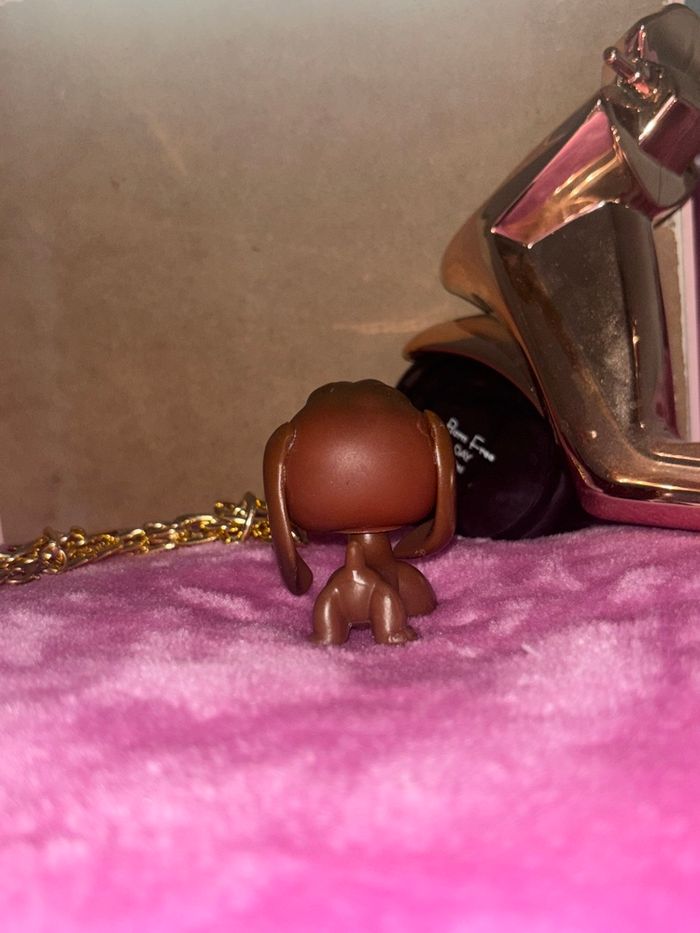 beagle #77 - photo numéro 3