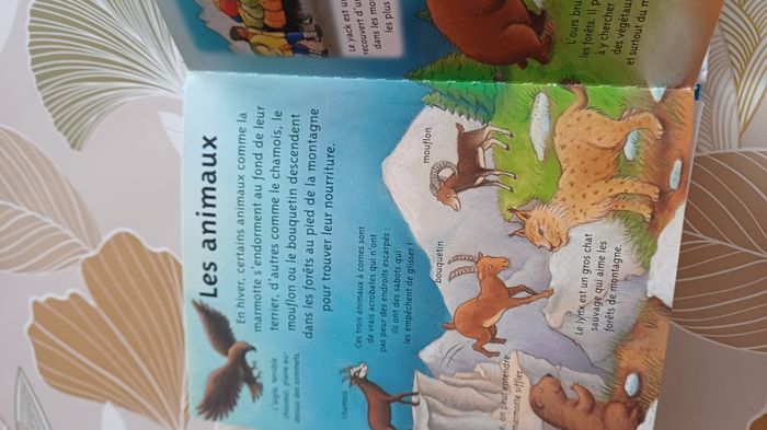 livre  La petite imagerie - photo numéro 4