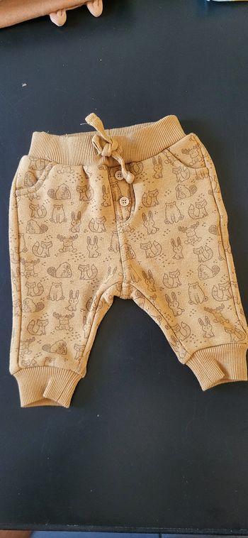 Pantalon renard