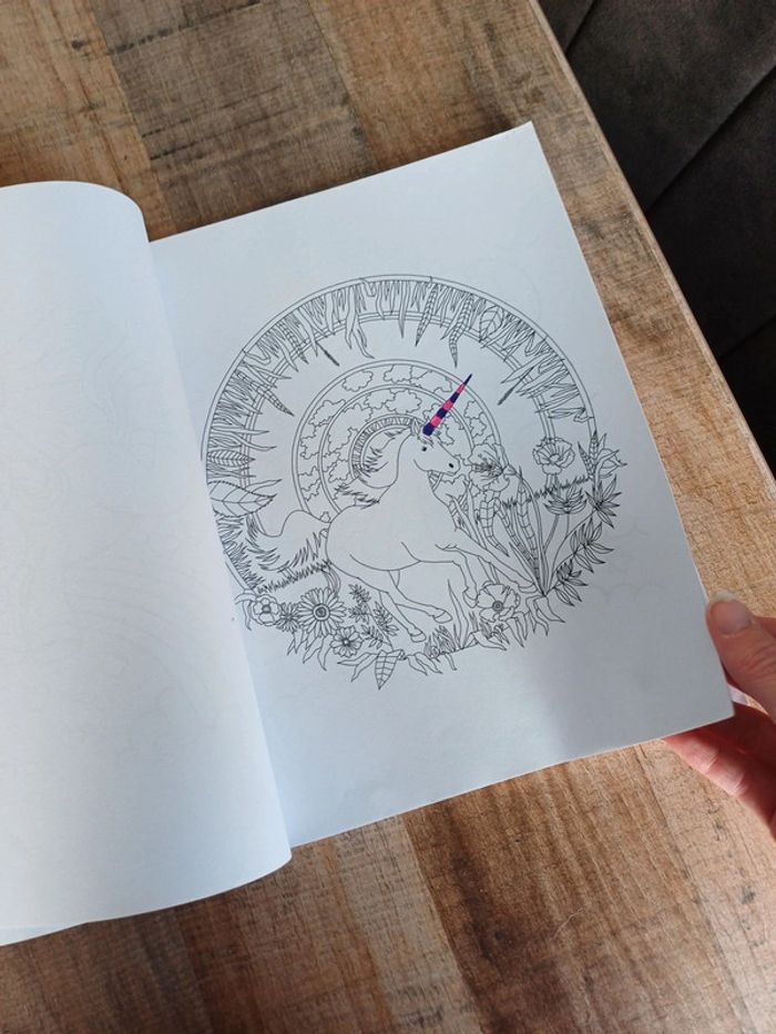 Libre de coloriage Licorne mandala et autres. - photo numéro 7