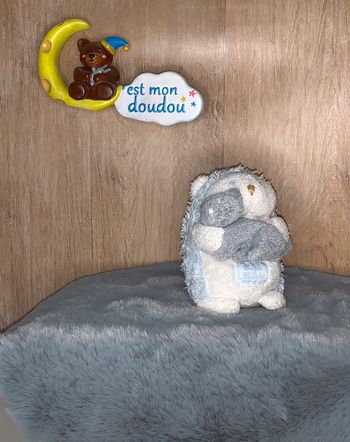 TC34 doudou hérisson 🦔 tartine et chocolat