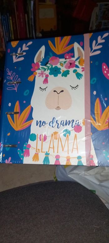 Classeur neuf carton