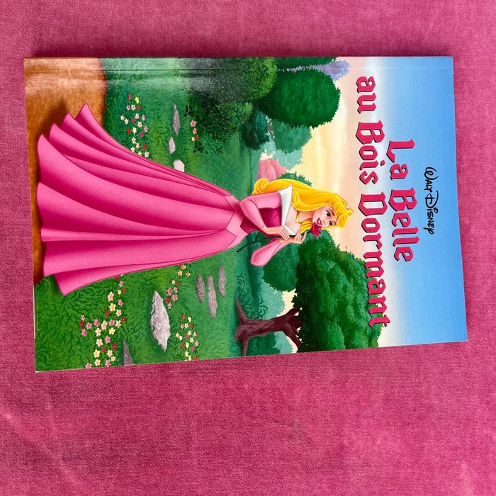 4 livres de  Disney  princesse  avec le coffret . - photo numéro 6