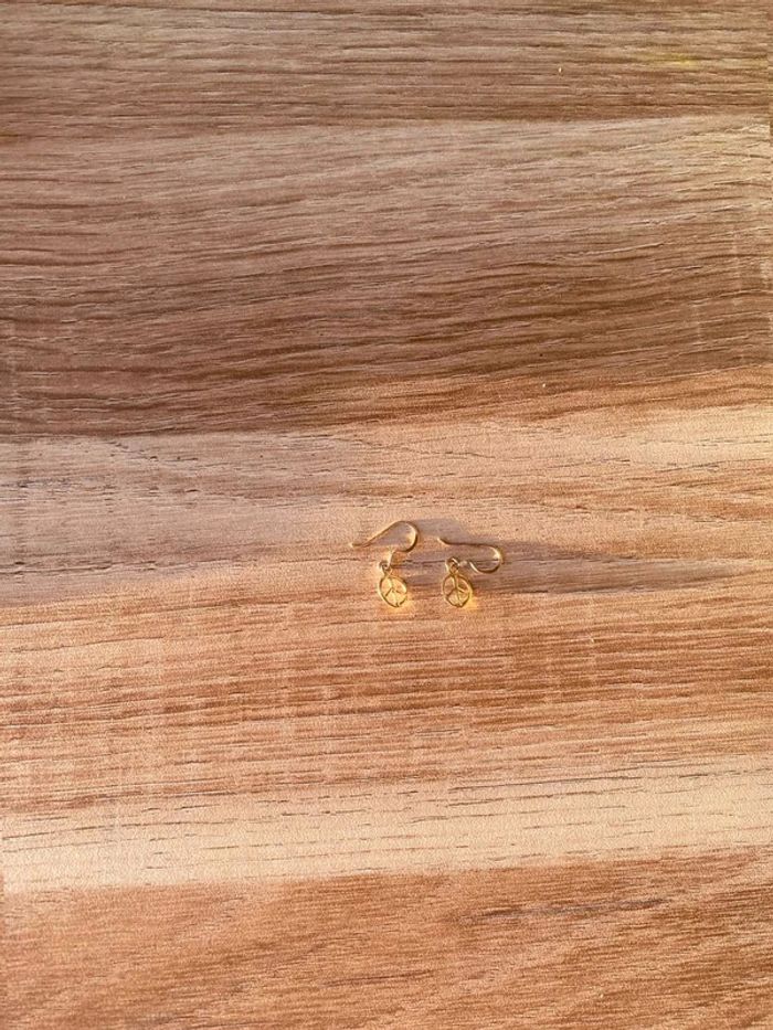 Boucles d’oreilles - photo numéro 3