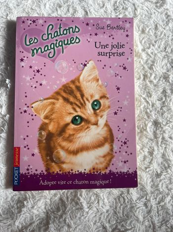 Les chatons magiques tome 1 une jolie surprise