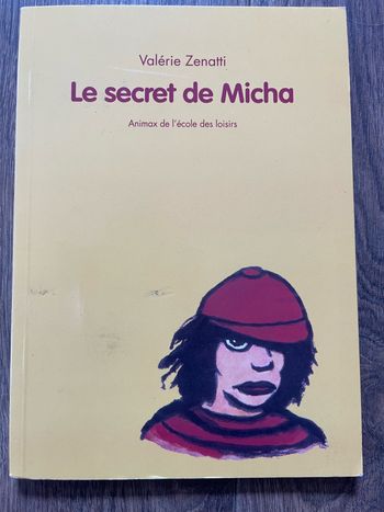 Livre Le secret de Micha de Valerie Zenatti