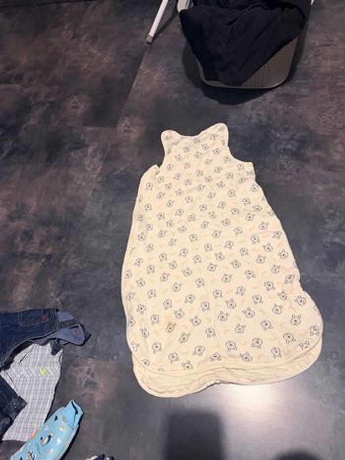 Gigoteuse bébé t2 Winnie - photo numéro 2