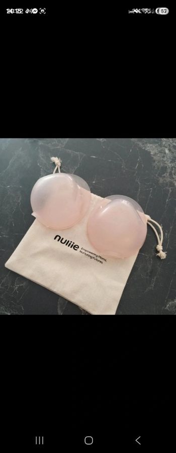 Recueilli lait maternel 