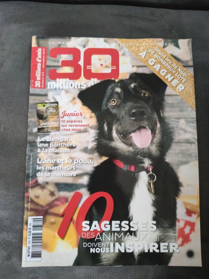 Magazine 30 millions d'amis numéro 379 décembre 2019