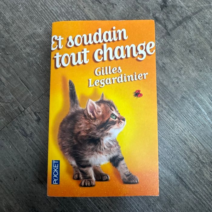 Gilles Legardinier - et soudain tout change