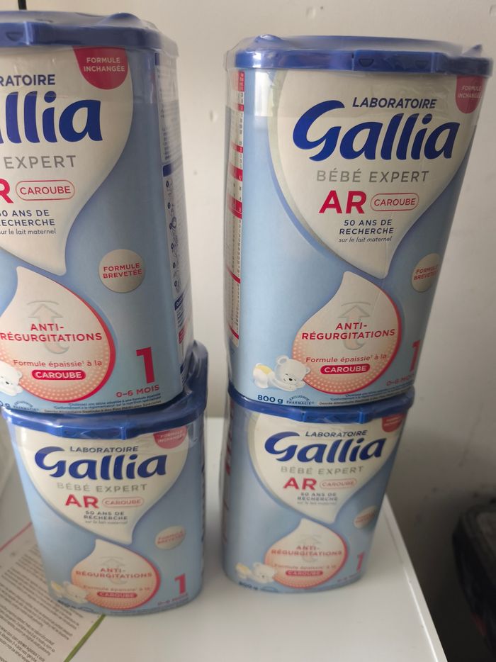Gallia 2 ème age