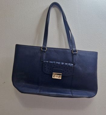 Sac a main  , femme , Francinel  , bleu nuit