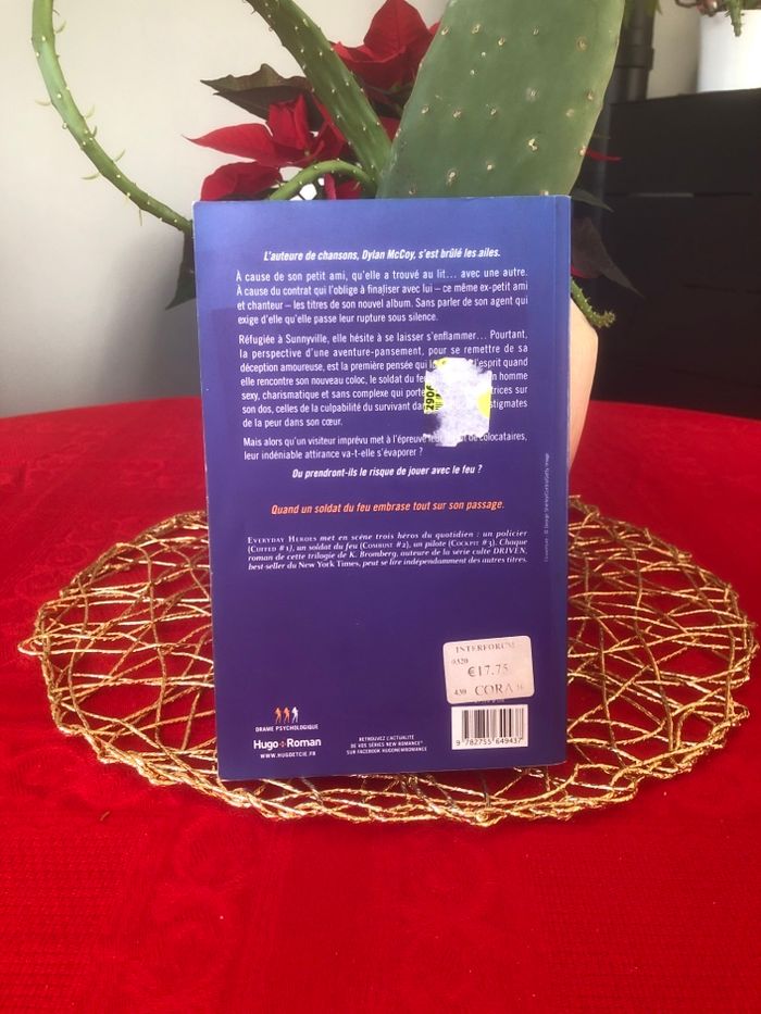 Everyday héroes - Braver les flammes - K. Bromberg - photo numéro 2