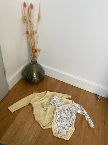 Lot body Pat et Ripaton