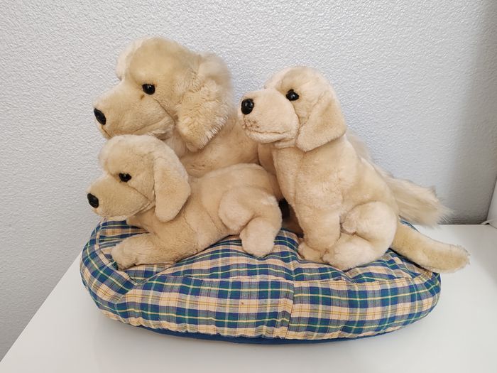 Peluche Labrador/Coussin