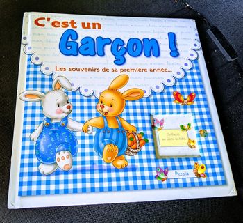 Livre de naissance bébé garçon