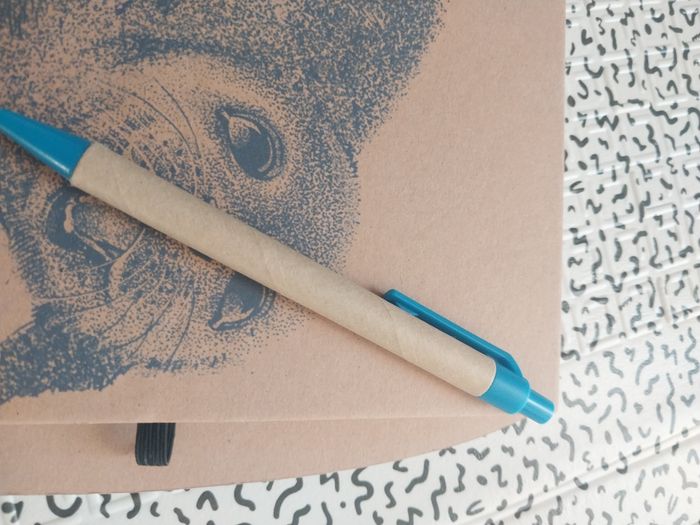 Carnet A5 recyclé Nature Planet + stylo - photo numéro 6